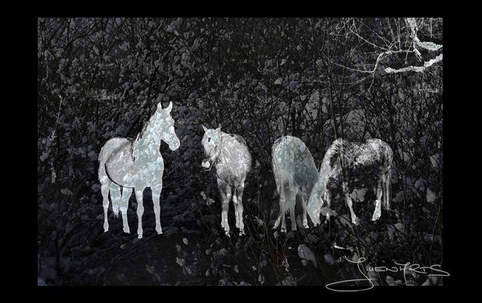 GHOST HORSES