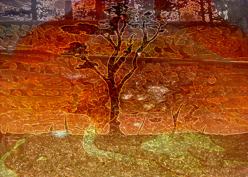 NAKED WOOD