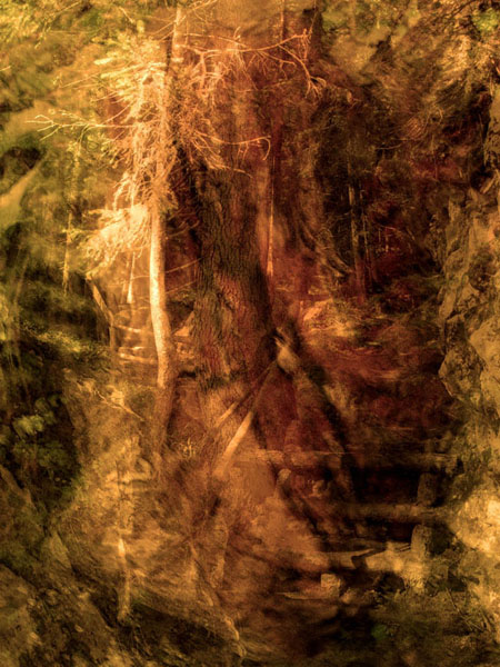 SECRET PATH